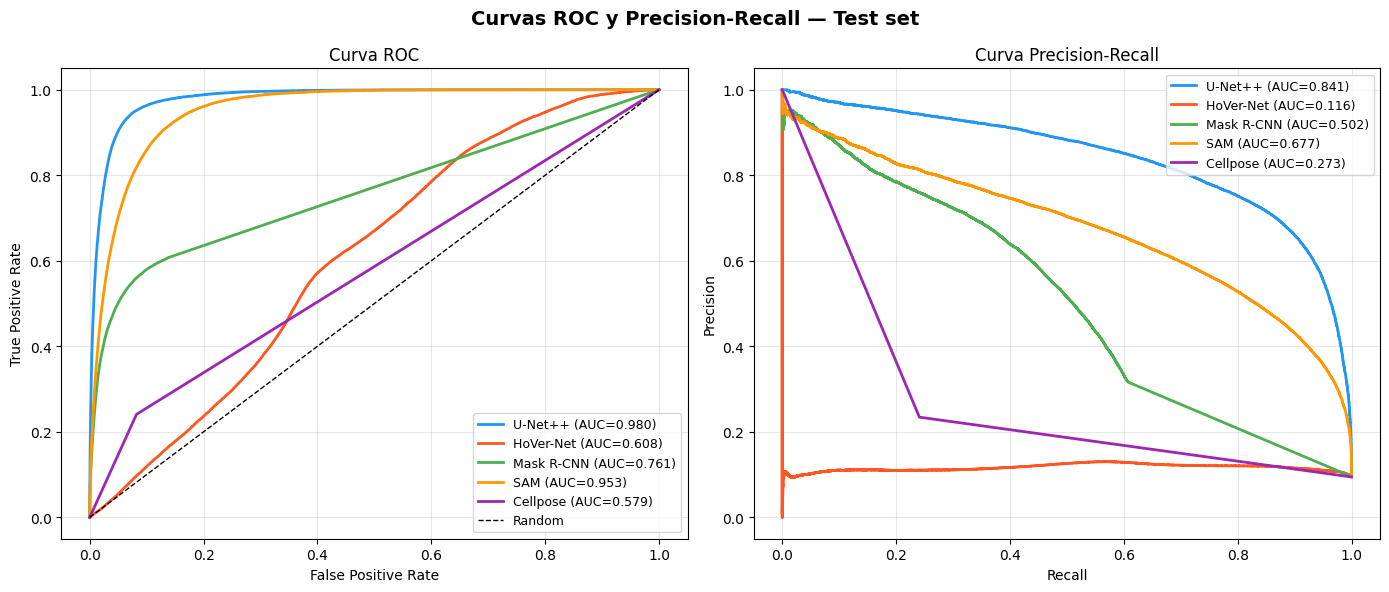 Evaluación Final — Sartorius Cell Instance Segmentation — Deep Learning ...