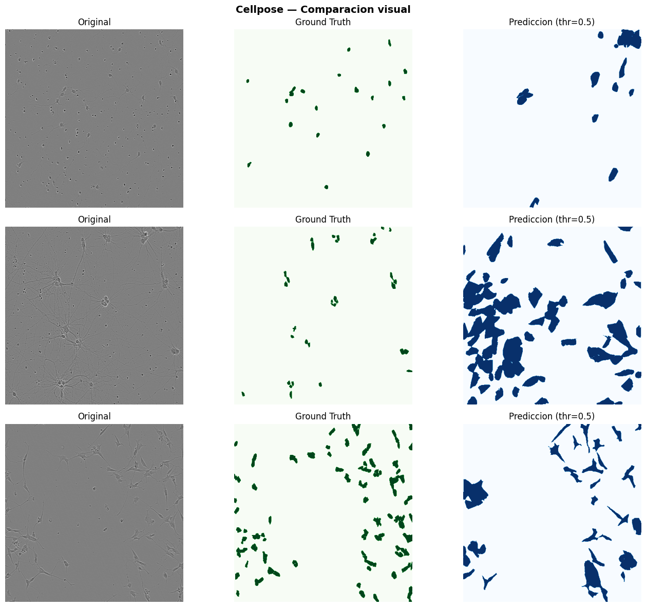Evaluación Final — Sartorius Cell Instance Segmentation — Deep Learning ...